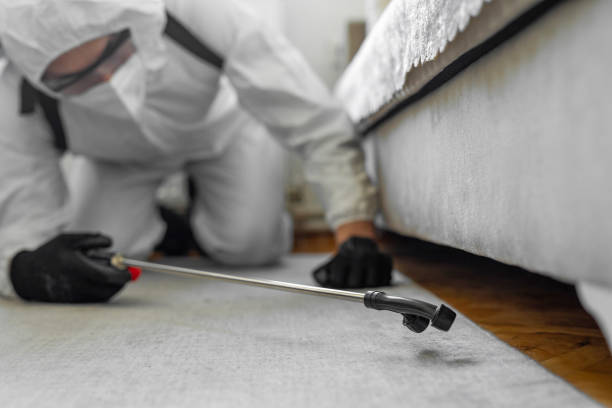 Professional Bed Bug Control technician working in Sleepy Hollow, IL